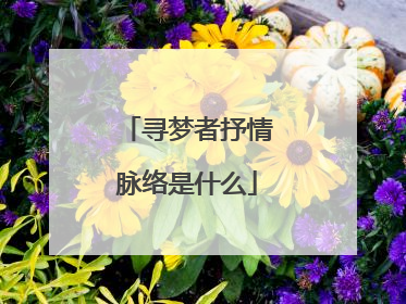 寻梦者抒情脉络是什么