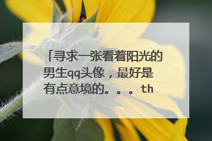寻求一张看着阳光的男生qq头像,最好是有点意境的。。。thank you啦