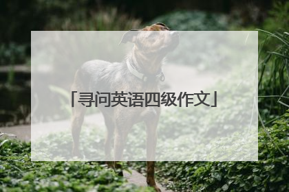 寻问英语四级作文