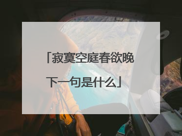 寂寞空庭春欲晚下一句是什么