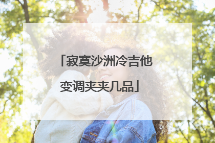寂寞沙洲冷吉他变调夹夹几品