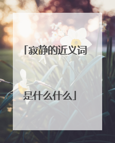 寂静的近义词是什么什么