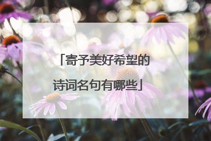 寄予美好希望的诗词名句有哪些