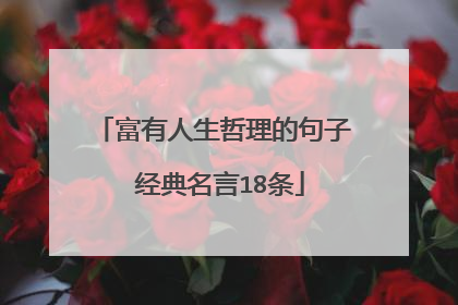 富有人生哲理的句子 经典名言18条