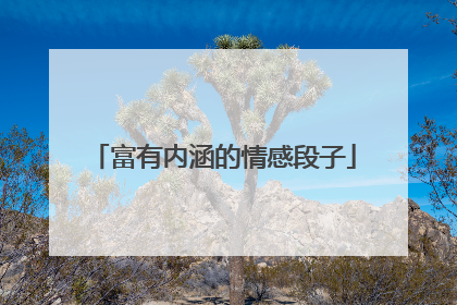 富有内涵的情感段子