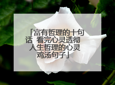 富有哲理的十句话 看完心灵透彻 人生哲理的心灵鸡汤句子