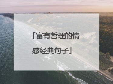 富有哲理的情感经典句子