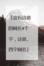 富有诗意的网名4个字,诗意、四字网名