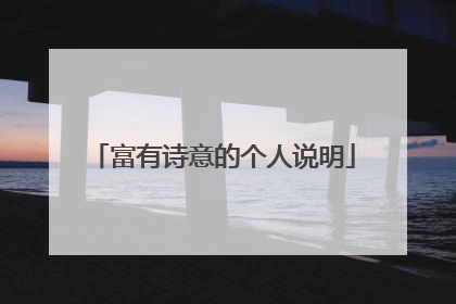 富有诗意的个人说明