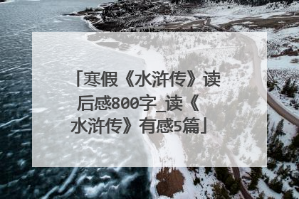 寒假《水浒传》读后感800字_读《水浒传》有感5篇