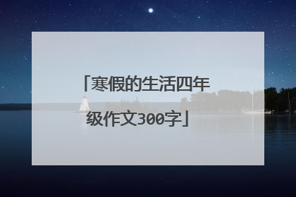 寒假的生活四年级作文300字