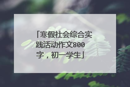 寒假社会综合实践活动作文800字，初一学生