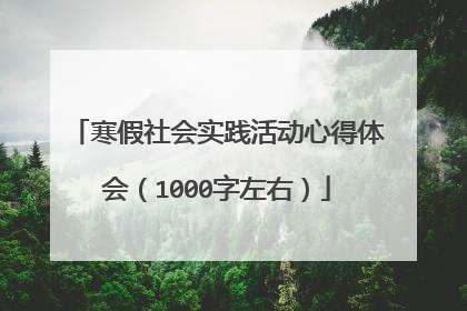 寒假社会实践活动心得体会（1000字左右）