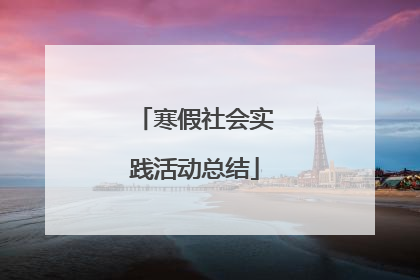 寒假社会实践活动总结