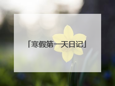 寒假第一天日记