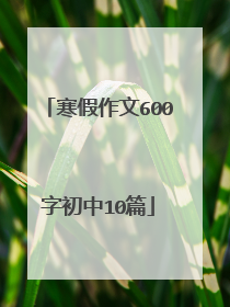 寒假作文600字初中10篇
