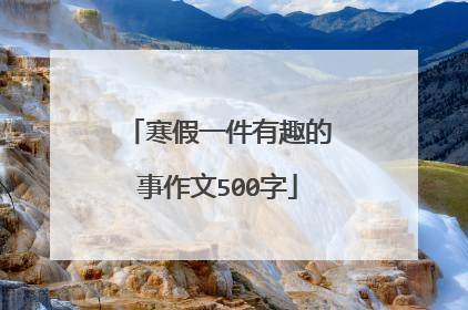 寒假一件有趣的事作文500字