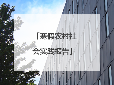 寒假农村社会实践报告
