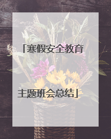 寒假安全教育主题班会总结