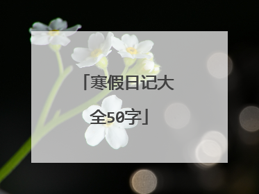 寒假日记大全50字