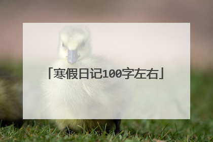 寒假日记100字左右