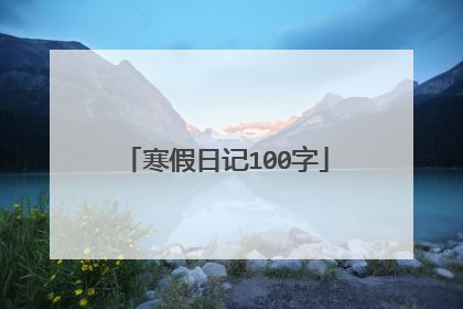 寒假日记100字