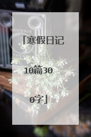 寒假日记10篇300字