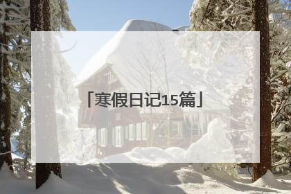 寒假日记15篇