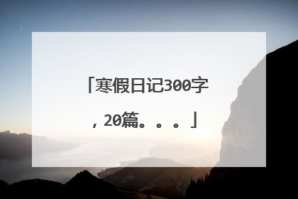 寒假日记300字，20篇。。。