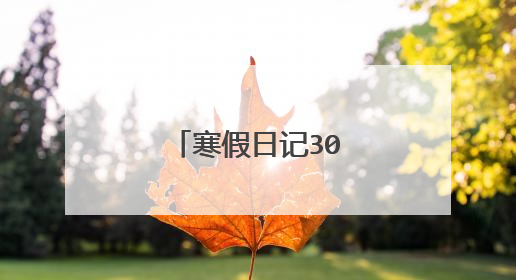 寒假日记300字20篇