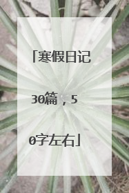 寒假日记30篇,50字左右