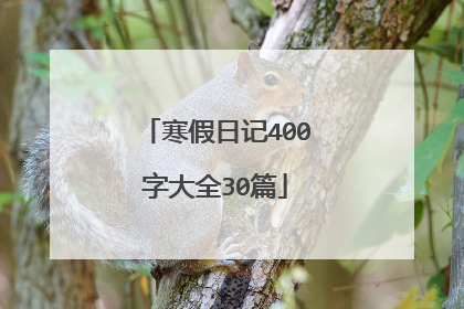 寒假日记400字大全30篇