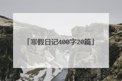 寒假日记400字20篇