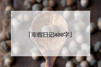 寒假日记400字
