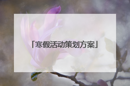 寒假活动策划方案