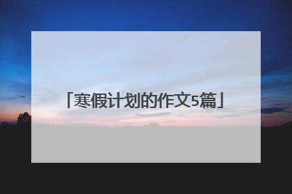 寒假计划的作文5篇