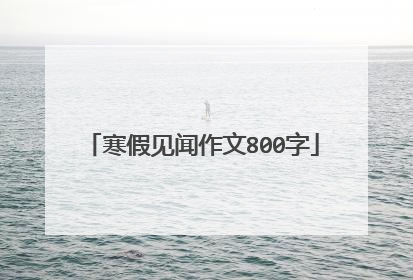 寒假见闻作文800字