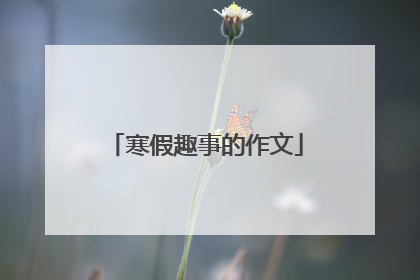 寒假趣事的作文