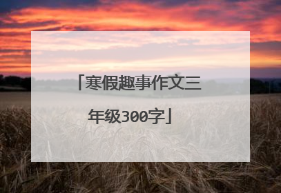 寒假趣事作文三年级300字
