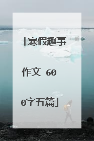 寒假趣事作文 600字五篇