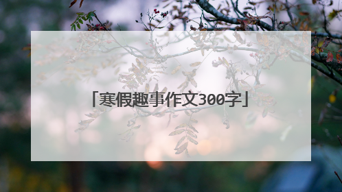 寒假趣事作文300字