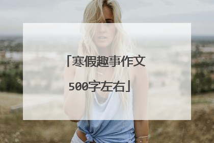 寒假趣事作文500字左右