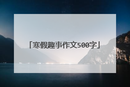 寒假趣事作文500字