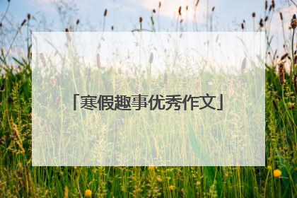 寒假趣事优秀作文