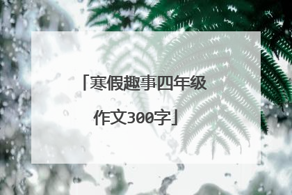 寒假趣事四年级作文300字