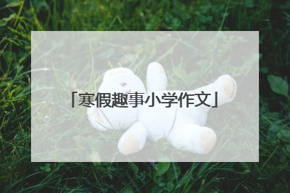 寒假趣事小学作文