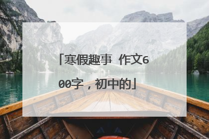 寒假趣事 作文600字，初中的