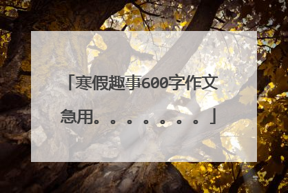 寒假趣事600字作文 急用。。。。。。。