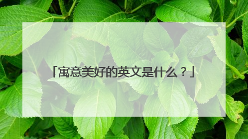 寓意美好的英文是什么？