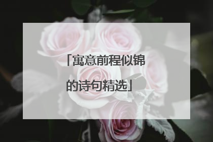 寓意前程似锦的诗句精选
